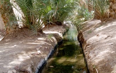 Vom Falaj-System zur Meerwasserentsalzung in arabischen Ländern