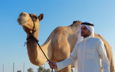 Kopfbedeckungen von arabischen Männern