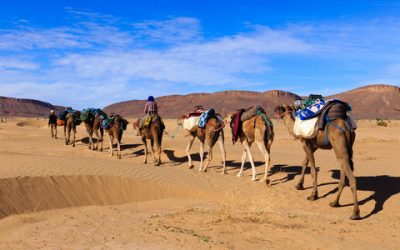 Eine Safari machen – Die  Wurzel s-f-r und wie man davon andere Wörter im Arabischen ableiten kann.