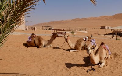 Beduinen in Oman. Ein Leben in zwei verschiedenen Welten.